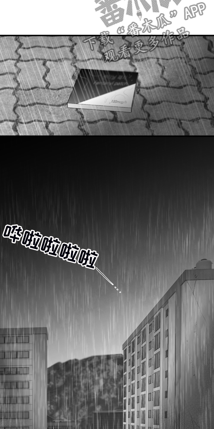 《海边的傻瓜》漫画最新章节第89章：【第二季】去了就知道免费下拉式在线观看章节第【15】张图片