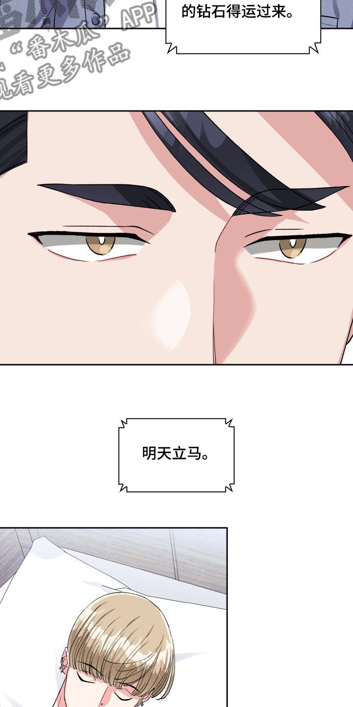 《丢失的胡萝卜》漫画最新章节第74章：运回钻石免费下拉式在线观看章节第【4】张图片