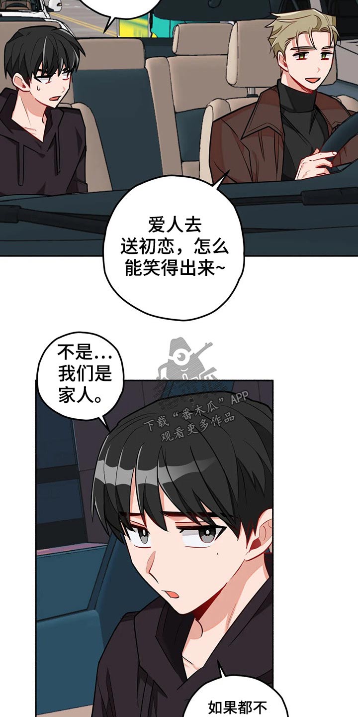 《幻想中的伴侣》漫画最新章节第53章：告别免费下拉式在线观看章节第【17】张图片