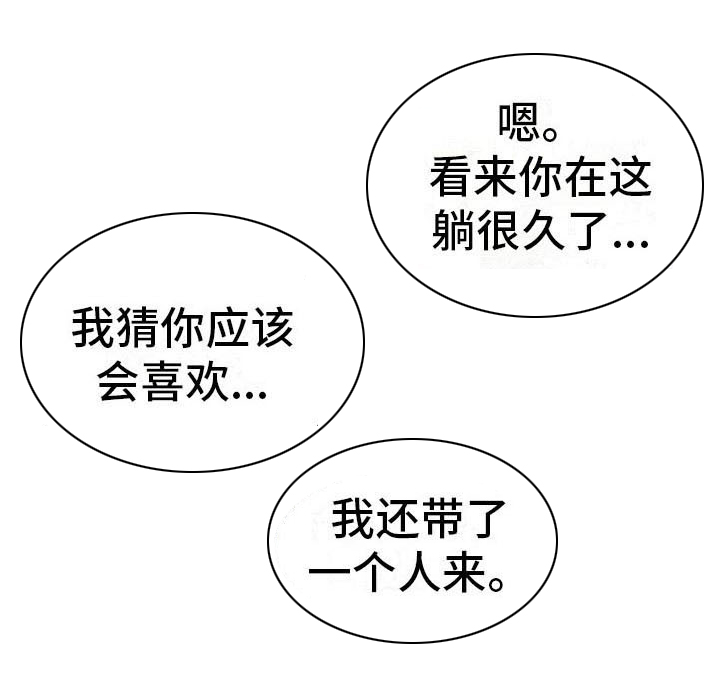 《职业球员》漫画最新章节第19章：巧合免费下拉式在线观看章节第【29】张图片