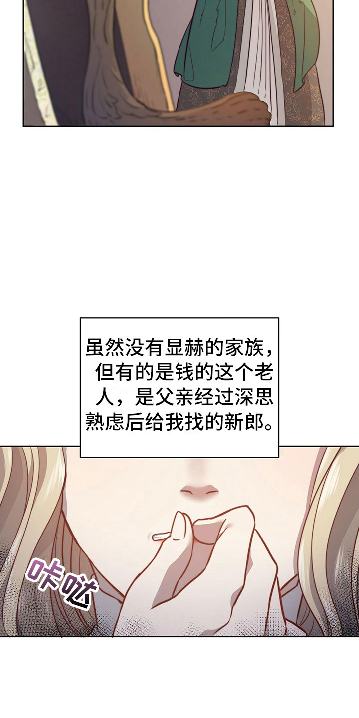 《杜明科的恶魔》漫画最新章节第1章：小公爵免费下拉式在线观看章节第【3】张图片