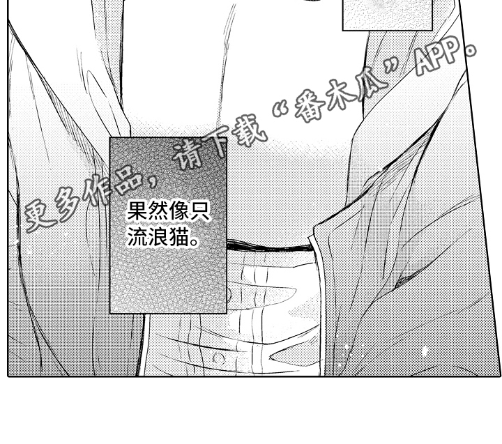 《我会喵喵叫》漫画最新章节第14章：流浪猫免费下拉式在线观看章节第【1】张图片