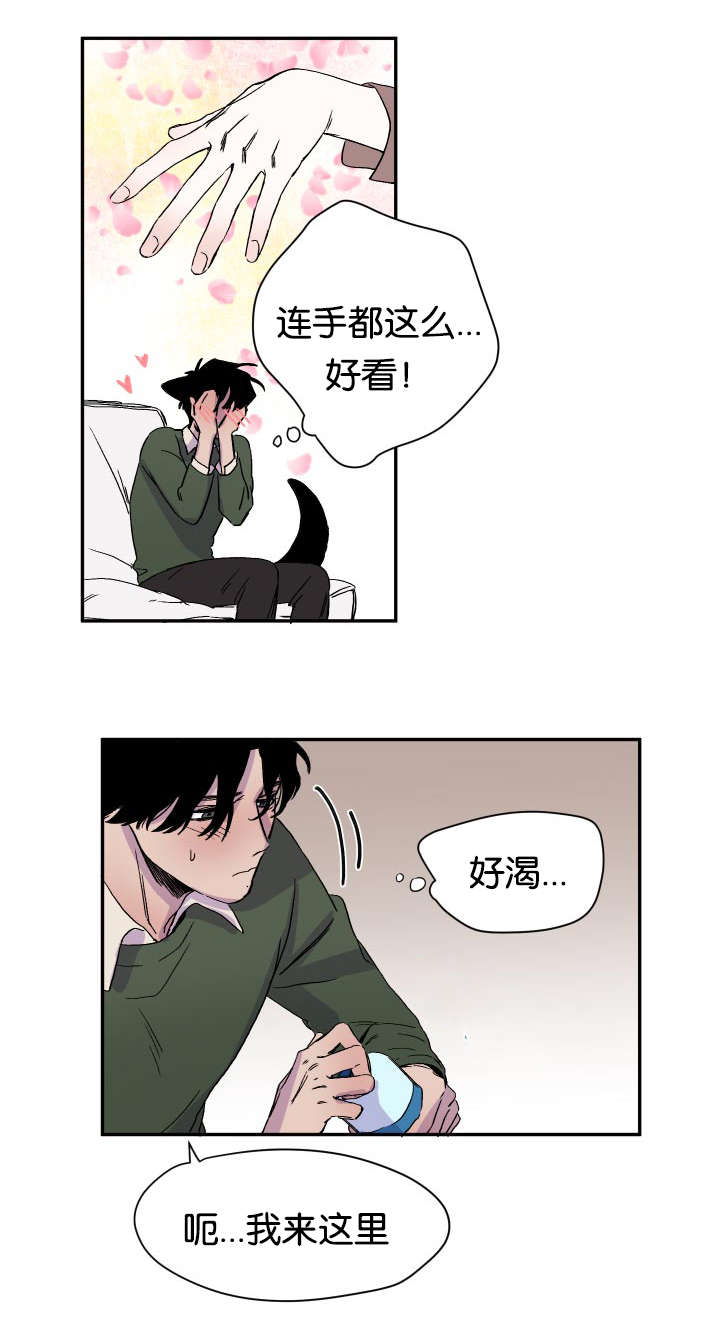 《狐狸的天性》漫画最新章节第22章：逐客令免费下拉式在线观看章节第【16】张图片