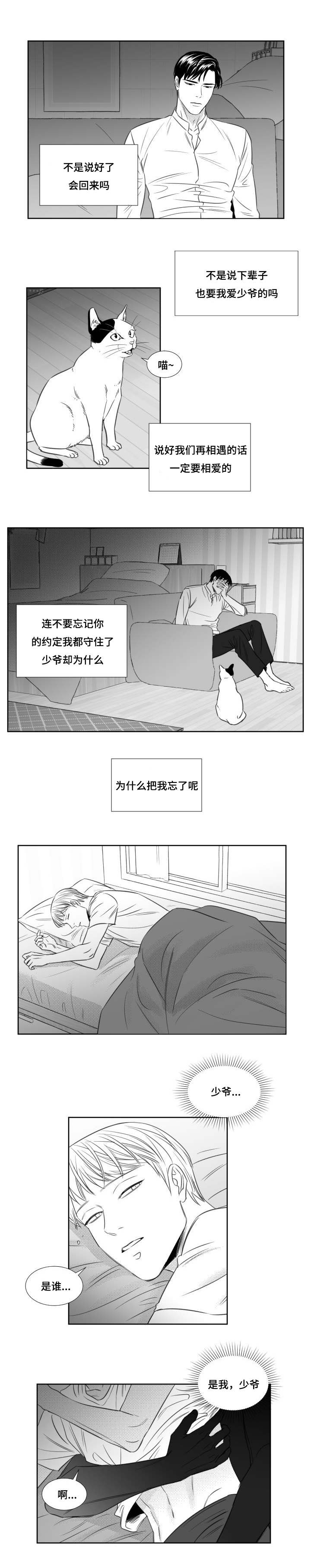 《阴阳主仆》漫画最新章节第82章：缘分注定免费下拉式在线观看章节第【4】张图片