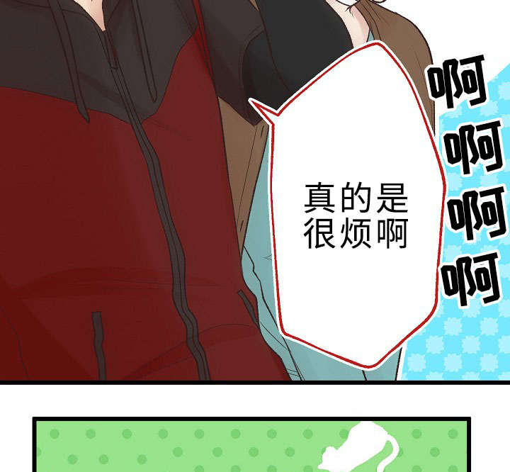 《完整版》漫画最新章节第23章：回归音乐会免费下拉式在线观看章节第【22】张图片