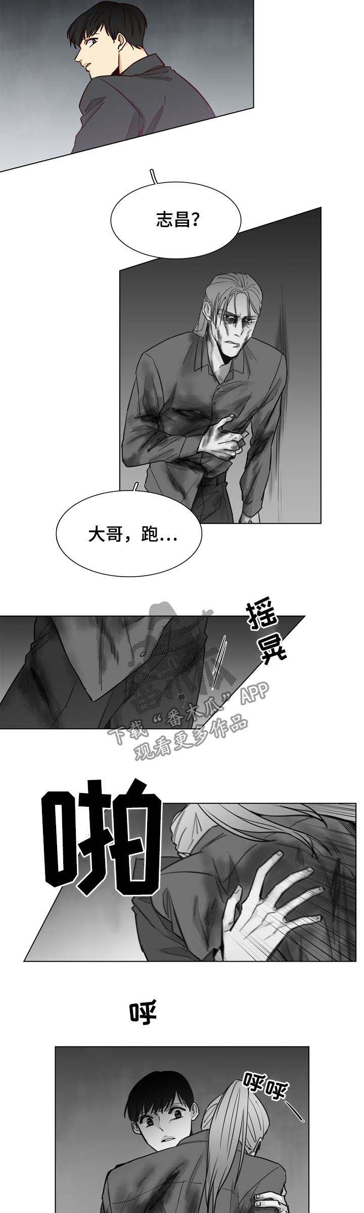 《狐疑》漫画最新章节第35章：快跑免费下拉式在线观看章节第【3】张图片