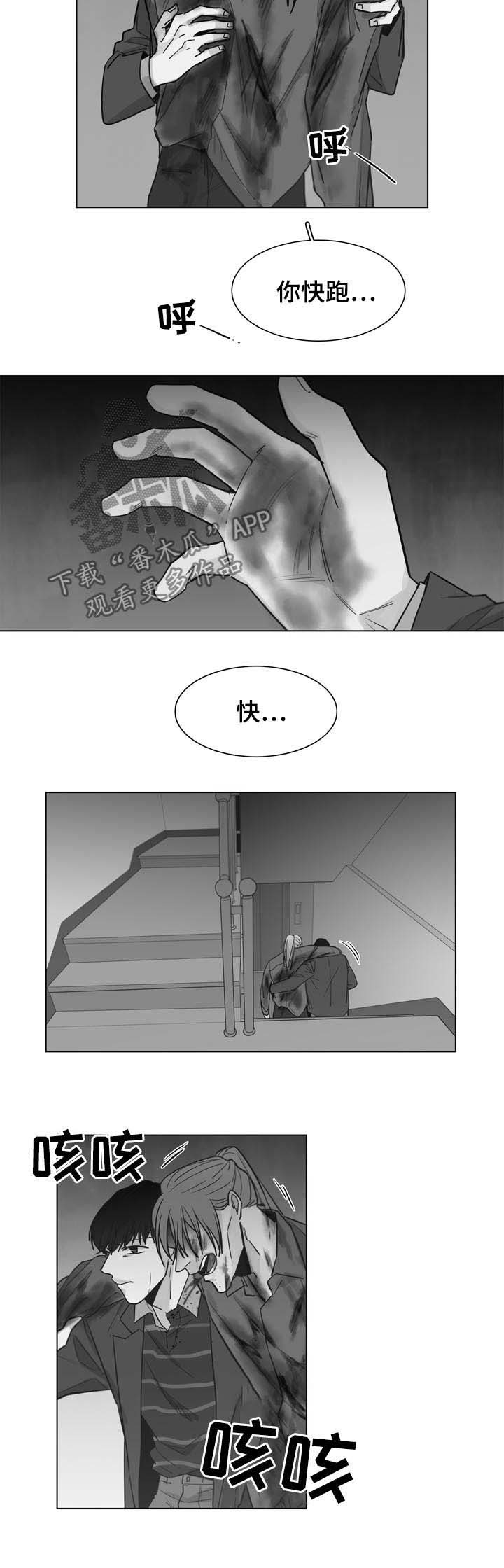 《狐疑》漫画最新章节第35章：快跑免费下拉式在线观看章节第【2】张图片