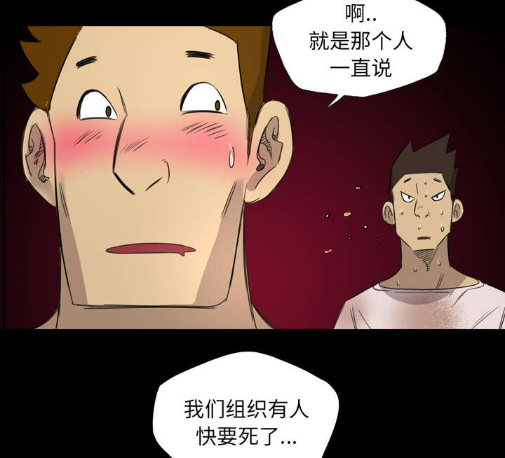 《流放岛》漫画最新章节第19章：那个新人免费下拉式在线观看章节第【7】张图片