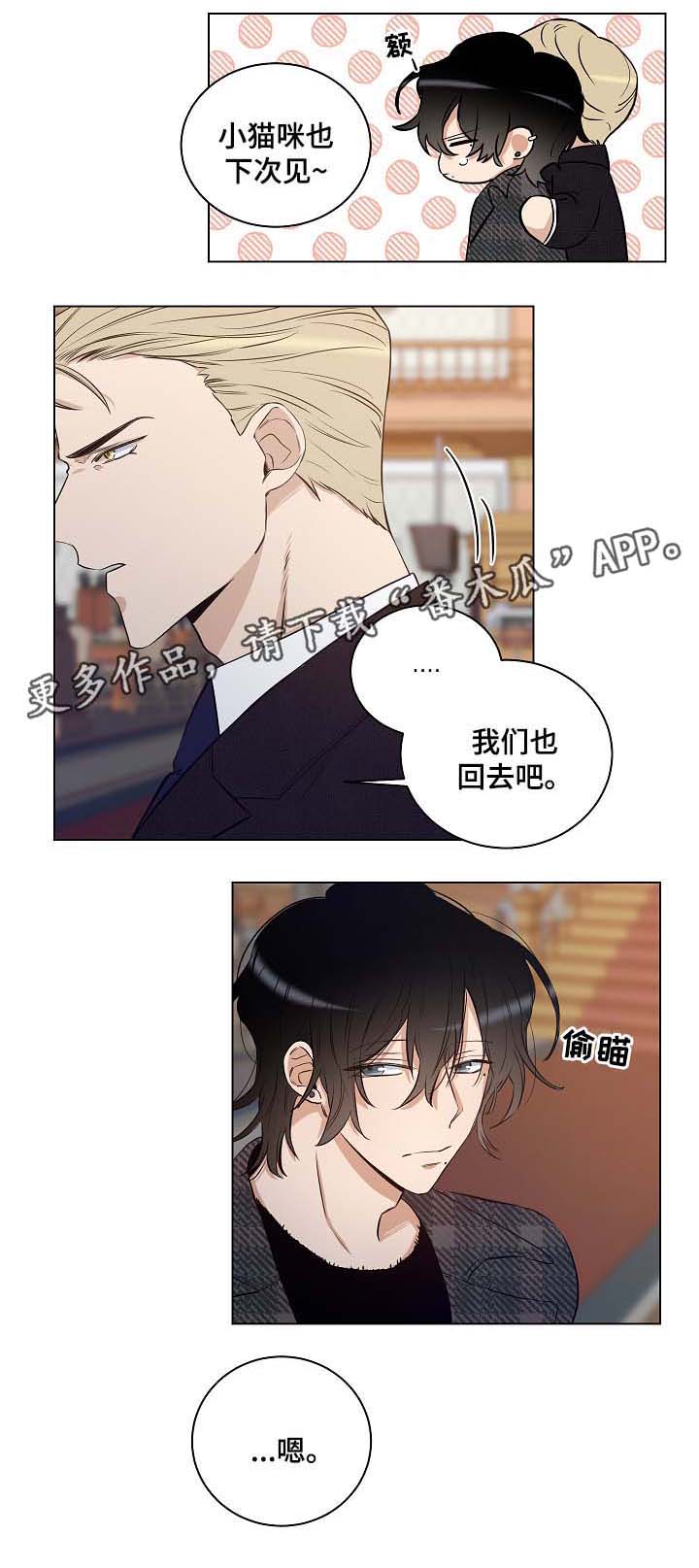 《连环圈套》漫画最新章节第29章：杀气腾腾免费下拉式在线观看章节第【1】张图片