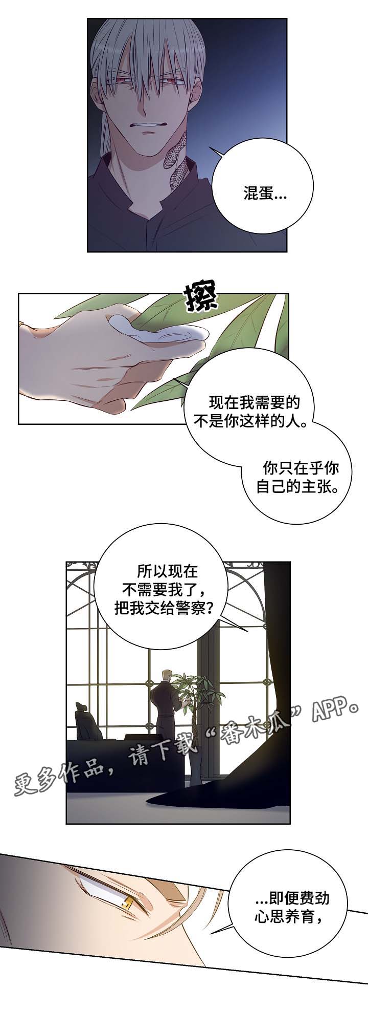 《连环圈套》漫画最新章节第46章：舍小求大免费下拉式在线观看章节第【7】张图片