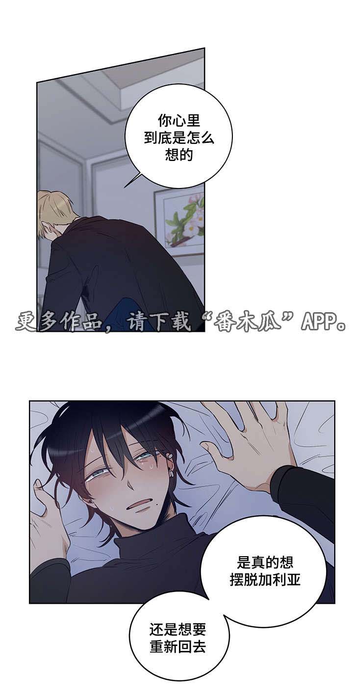 《连环圈套》漫画最新章节第8章：复仇免费下拉式在线观看章节第【7】张图片