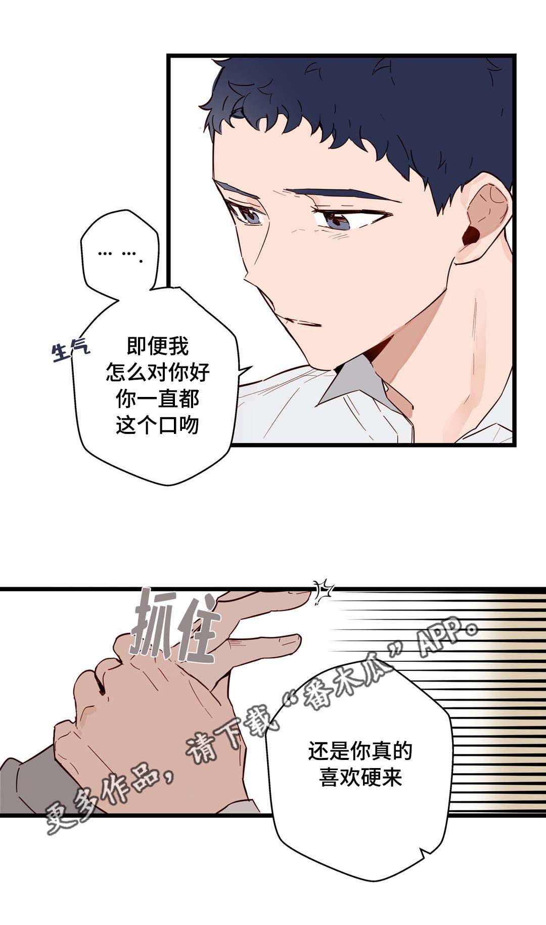 《不专》漫画最新章节第20章：选择免费下拉式在线观看章节第【1】张图片