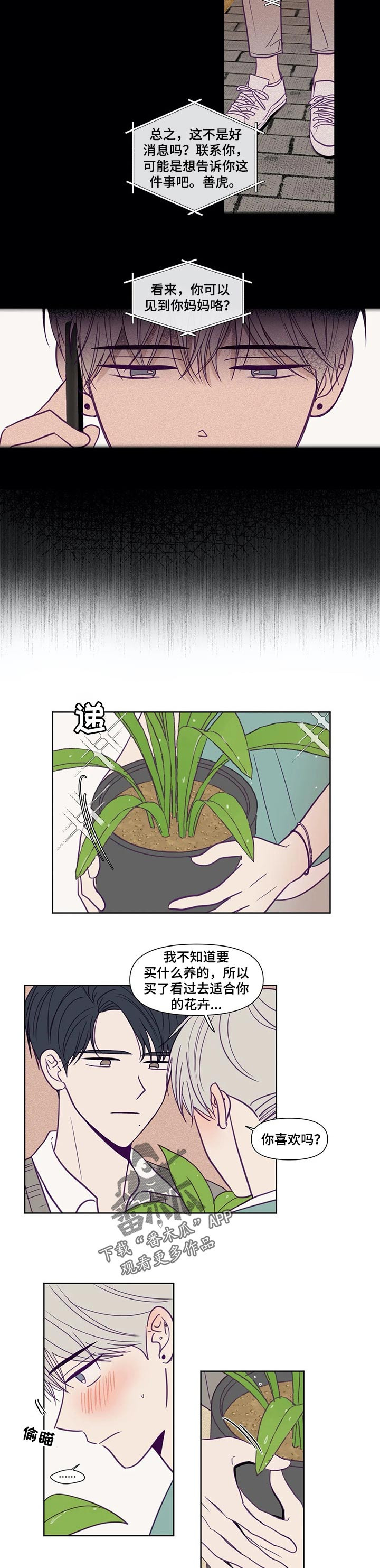 《秘密照片》漫画最新章节第119章：你可以期待免费下拉式在线观看章节第【5】张图片