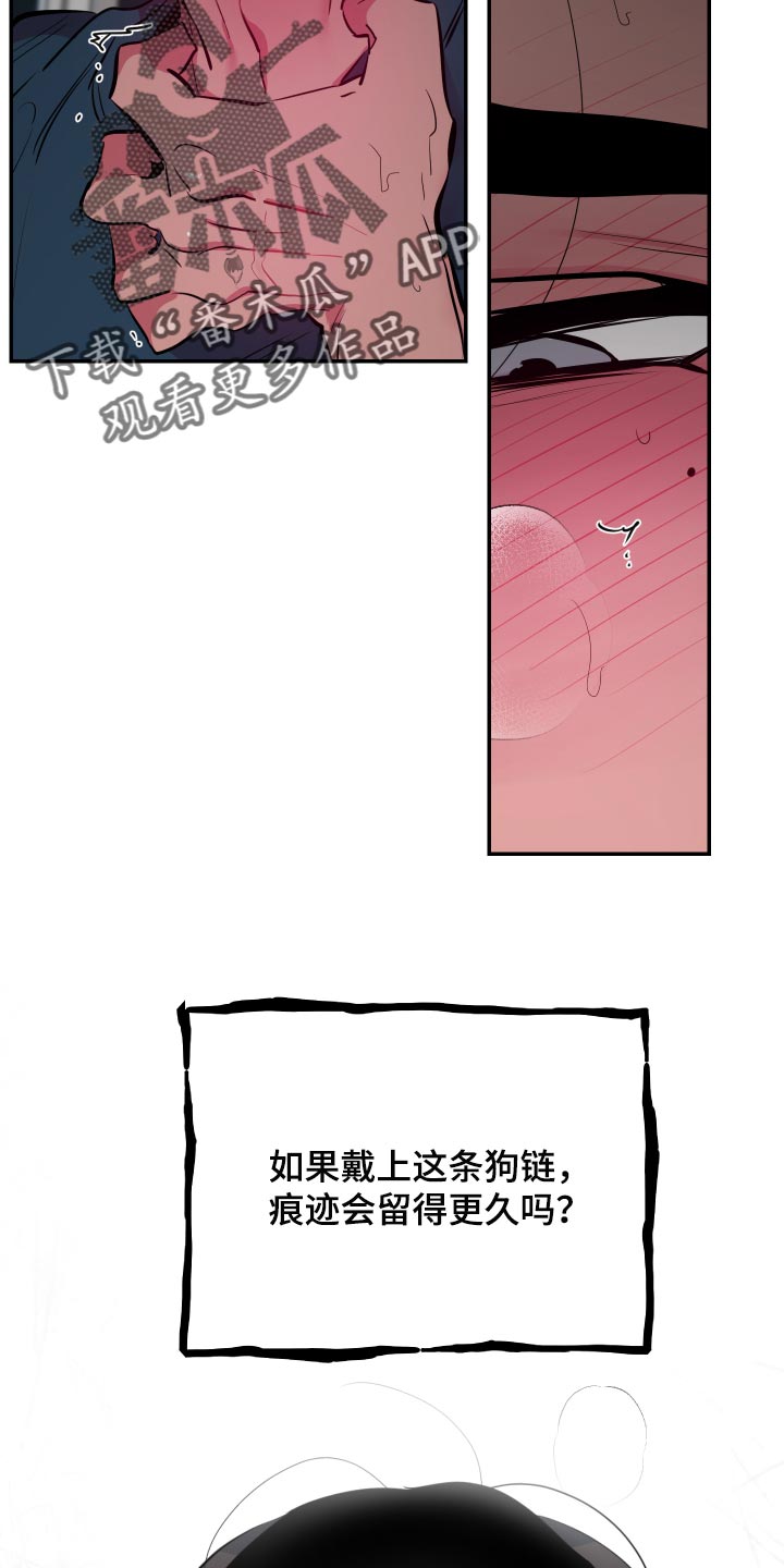 《密友安医生》漫画最新章节第37章：【第二季】真可惜免费下拉式在线观看章节第【3】张图片