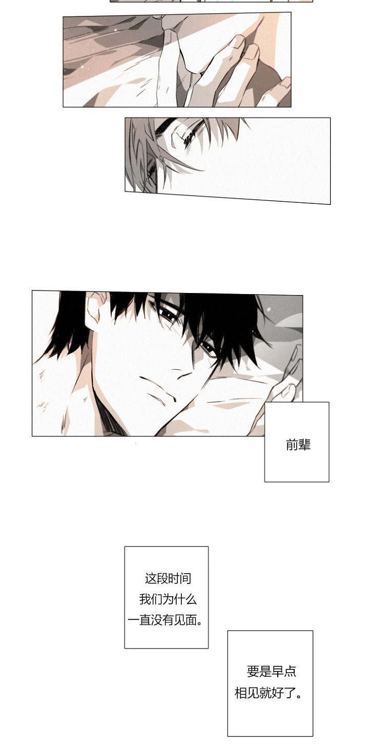 《近凶》漫画最新章节第20章：只要你免费下拉式在线观看章节第【1】张图片