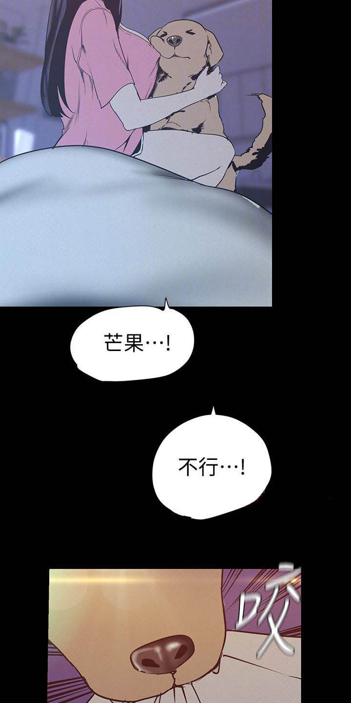 《被偏见的人》漫画最新章节第162章：见家长免费下拉式在线观看章节第【15】张图片