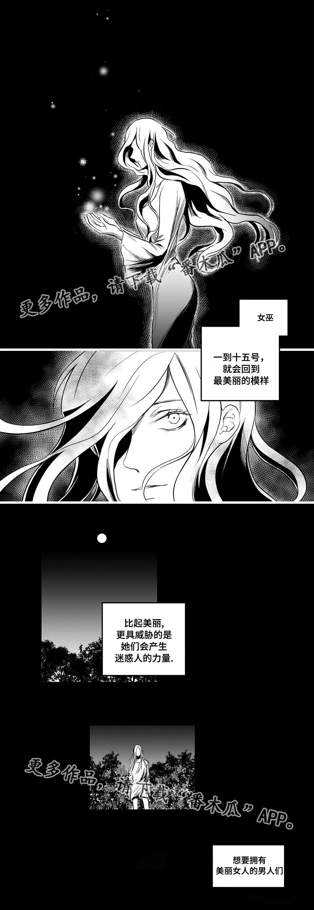 《巫师与王子》漫画最新章节第9章：真面目免费下拉式在线观看章节第【6】张图片