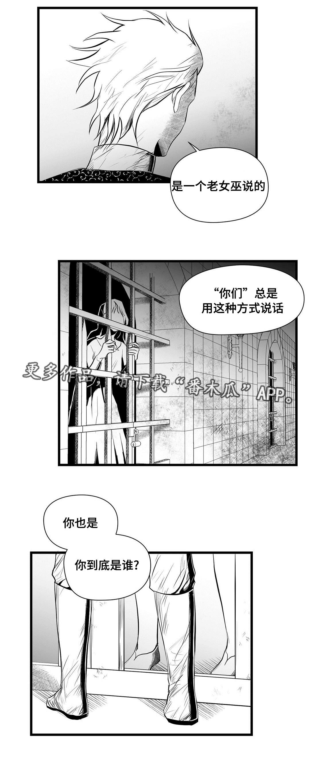 《巫师与王子》漫画最新章节第33章：下毒免费下拉式在线观看章节第【11】张图片