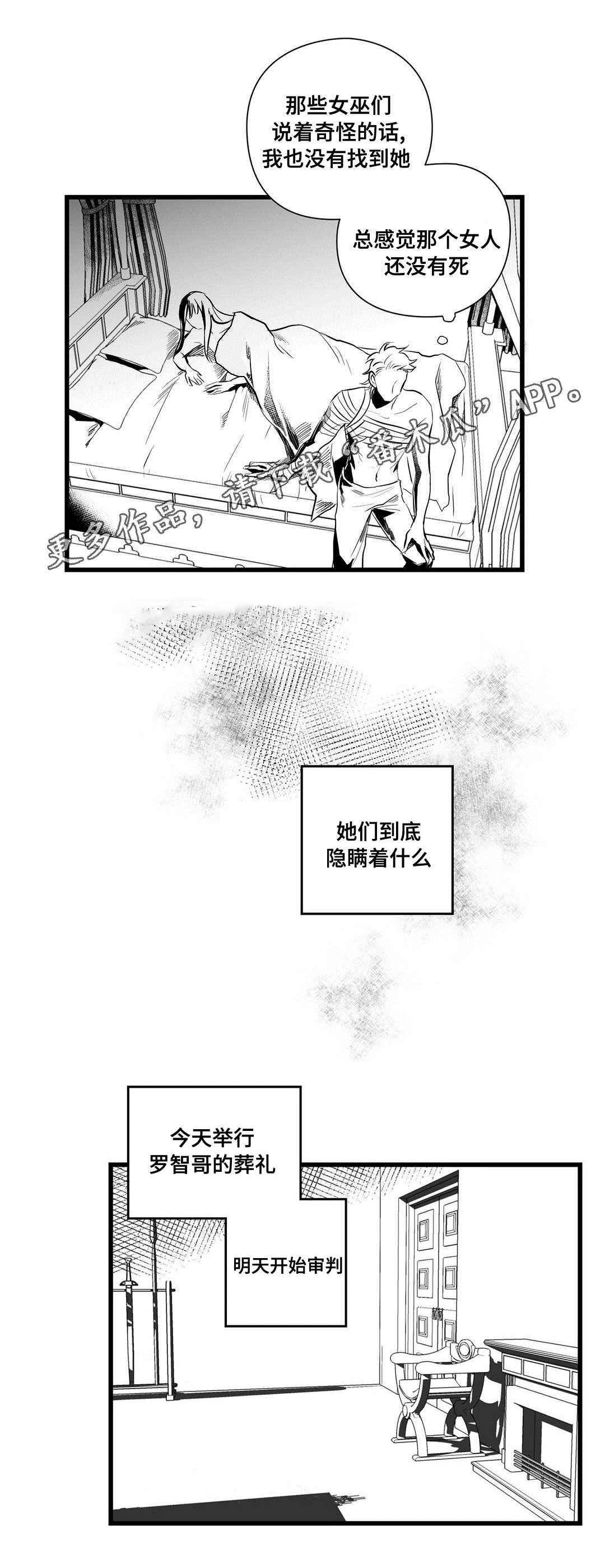 《巫师与王子》漫画最新章节第35章：隐瞒着什么免费下拉式在线观看章节第【16】张图片