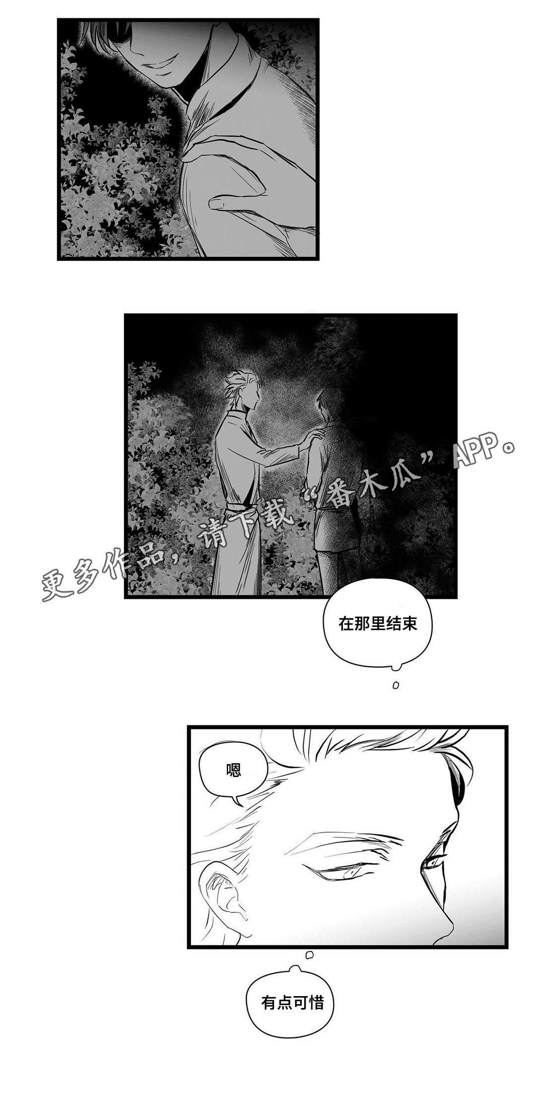 《巫师与王子》漫画最新章节第12章：四王子免费下拉式在线观看章节第【12】张图片