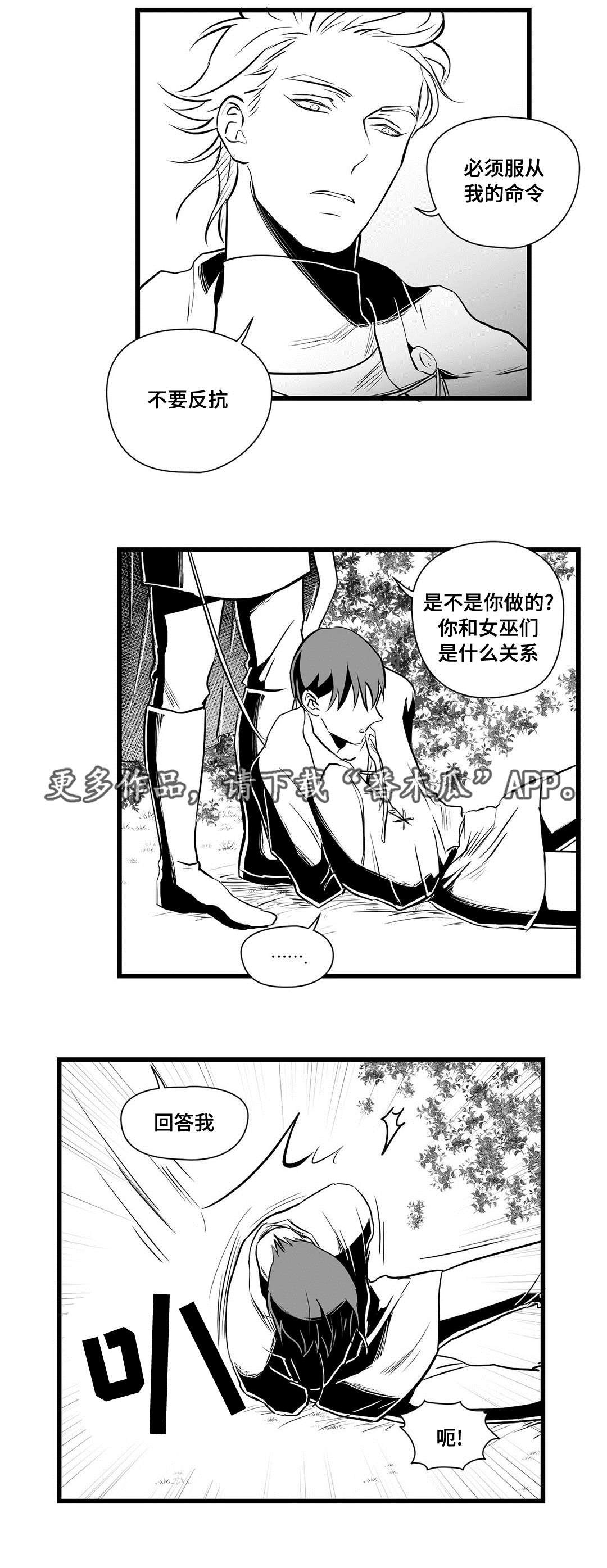 《巫师与王子》漫画最新章节第27章：收获免费下拉式在线观看章节第【10】张图片