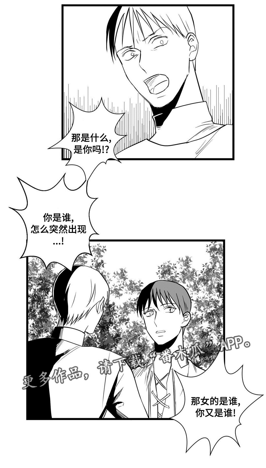 《巫师与王子》漫画最新章节第26章：犯人免费下拉式在线观看章节第【14】张图片