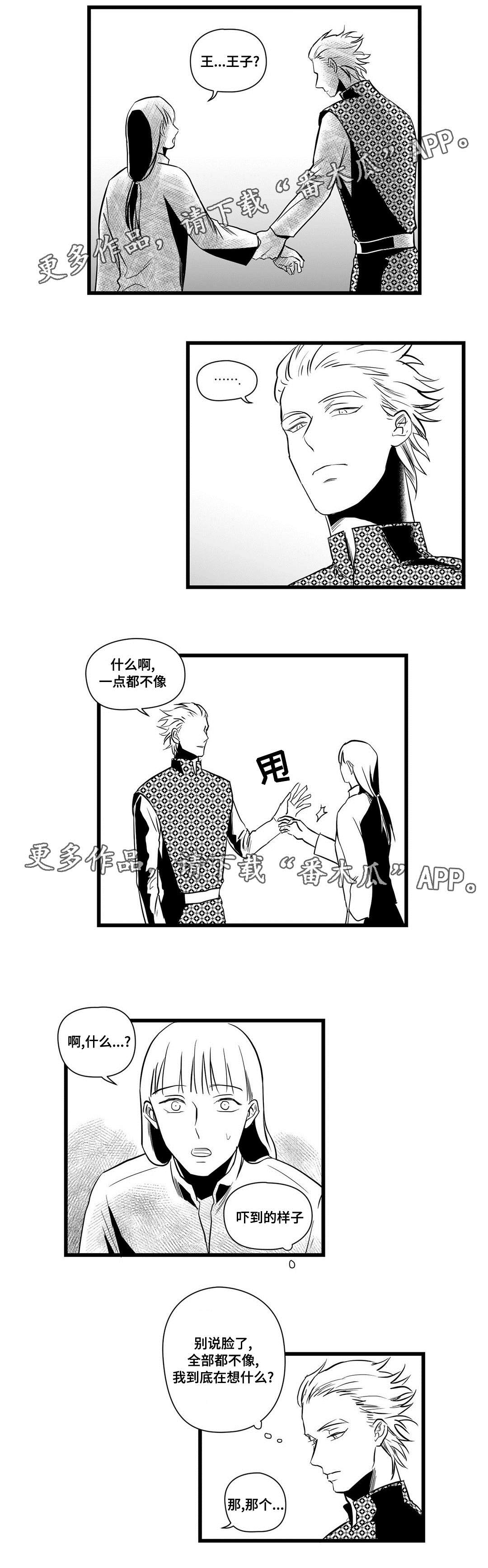 《巫师与王子》漫画最新章节第14章：迷住免费下拉式在线观看章节第【7】张图片