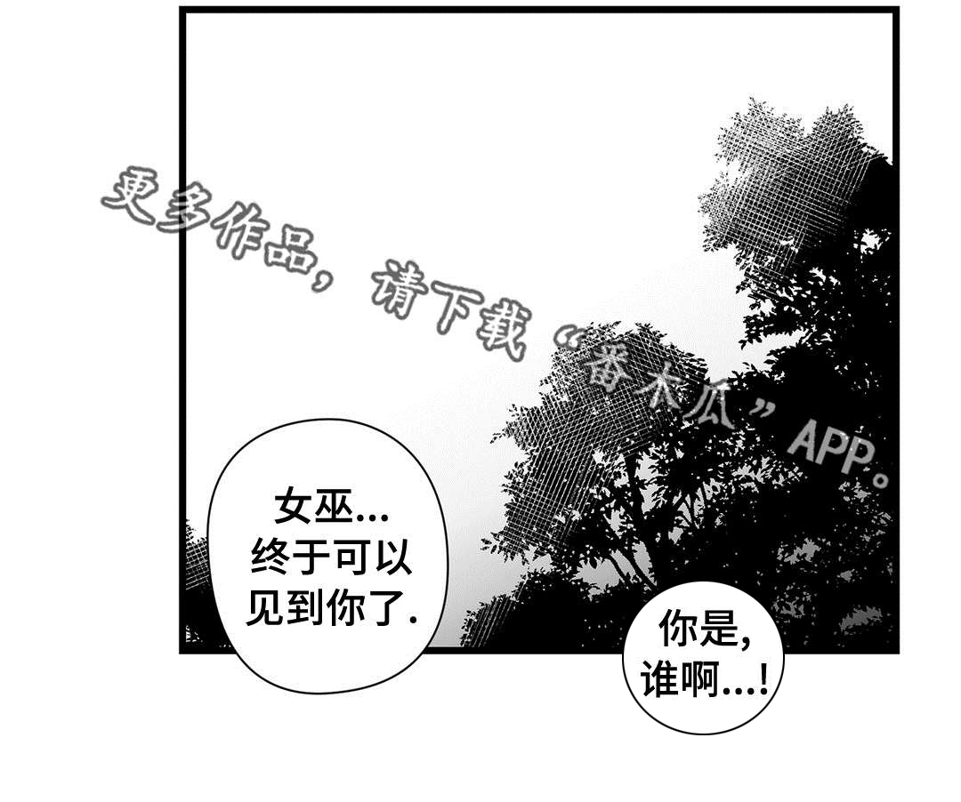 《巫师与王子》漫画最新章节第23章：诡异免费下拉式在线观看章节第【7】张图片