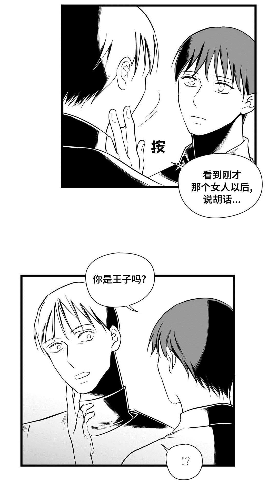 《巫师与王子》漫画最新章节第26章：犯人免费下拉式在线观看章节第【13】张图片