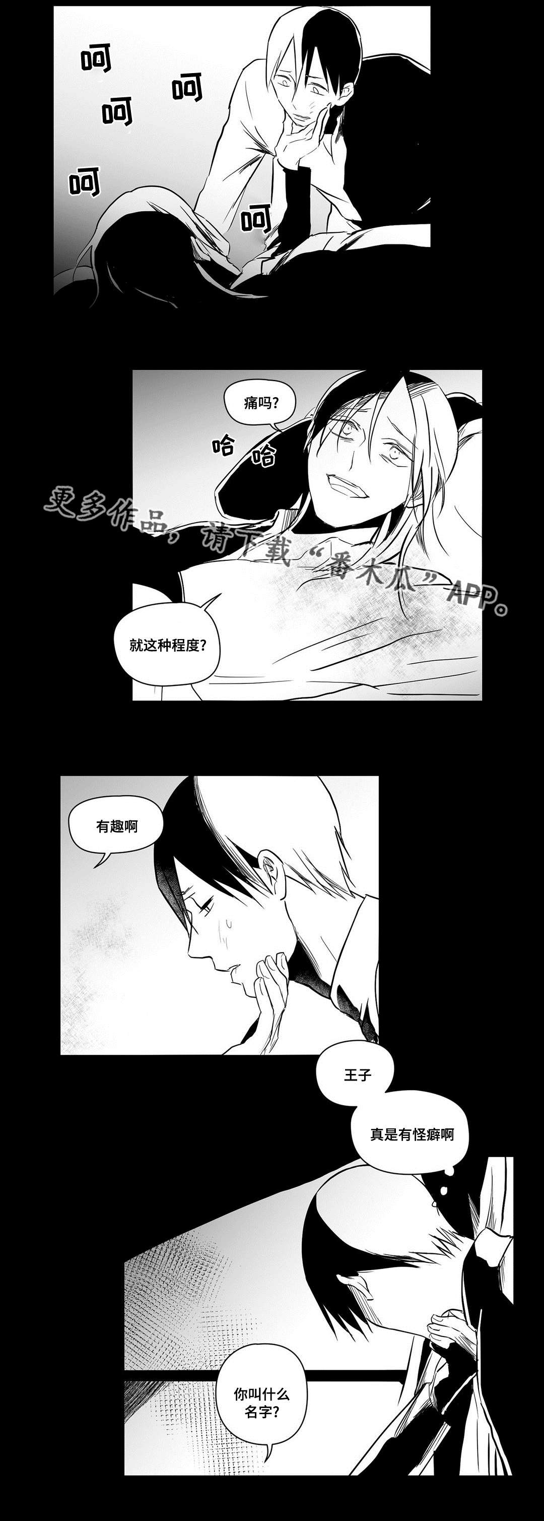 《巫师与王子》漫画最新章节第18章：打猎免费下拉式在线观看章节第【9】张图片