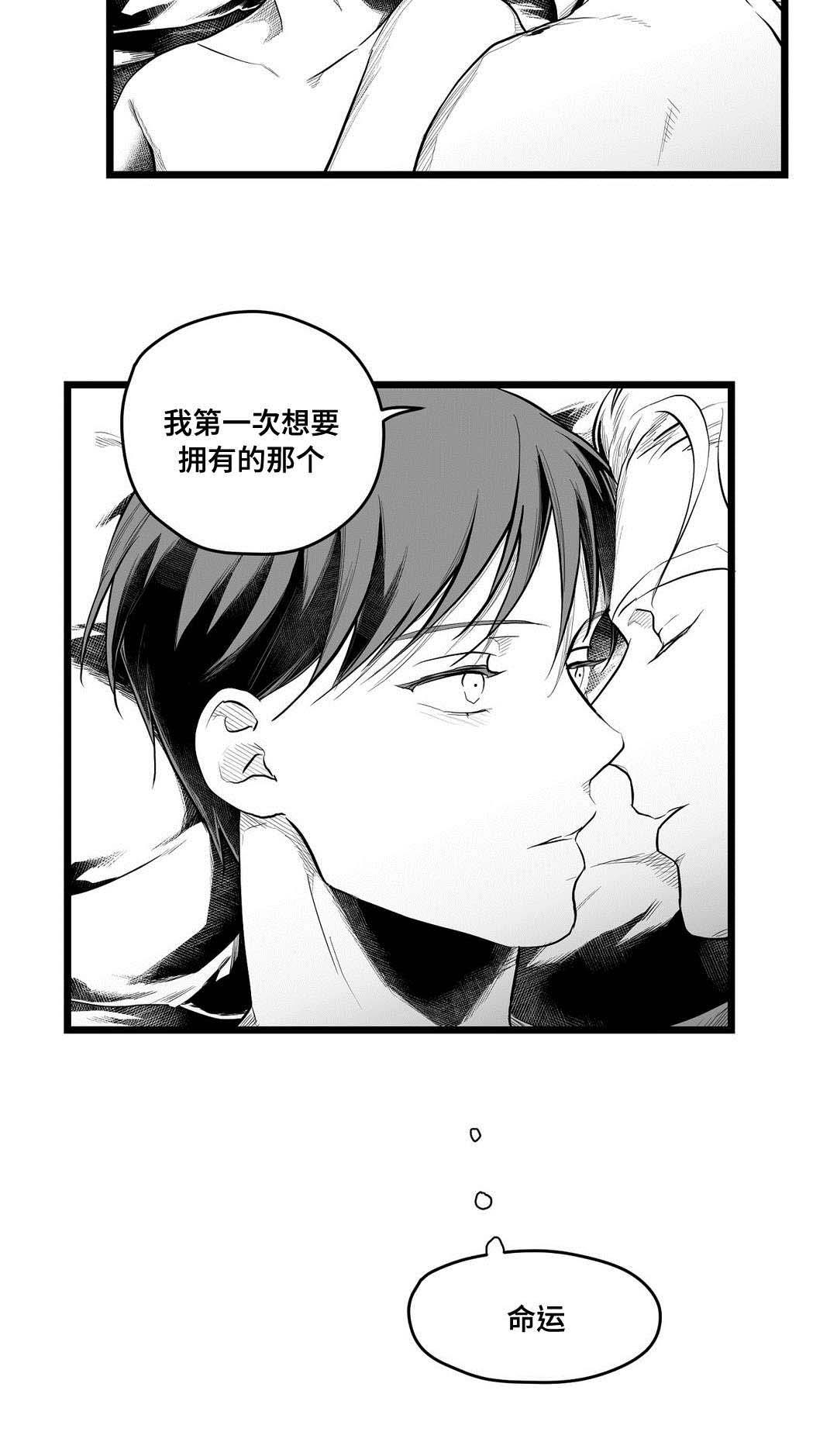 《巫师与王子》漫画最新章节第68章：命运免费下拉式在线观看章节第【9】张图片