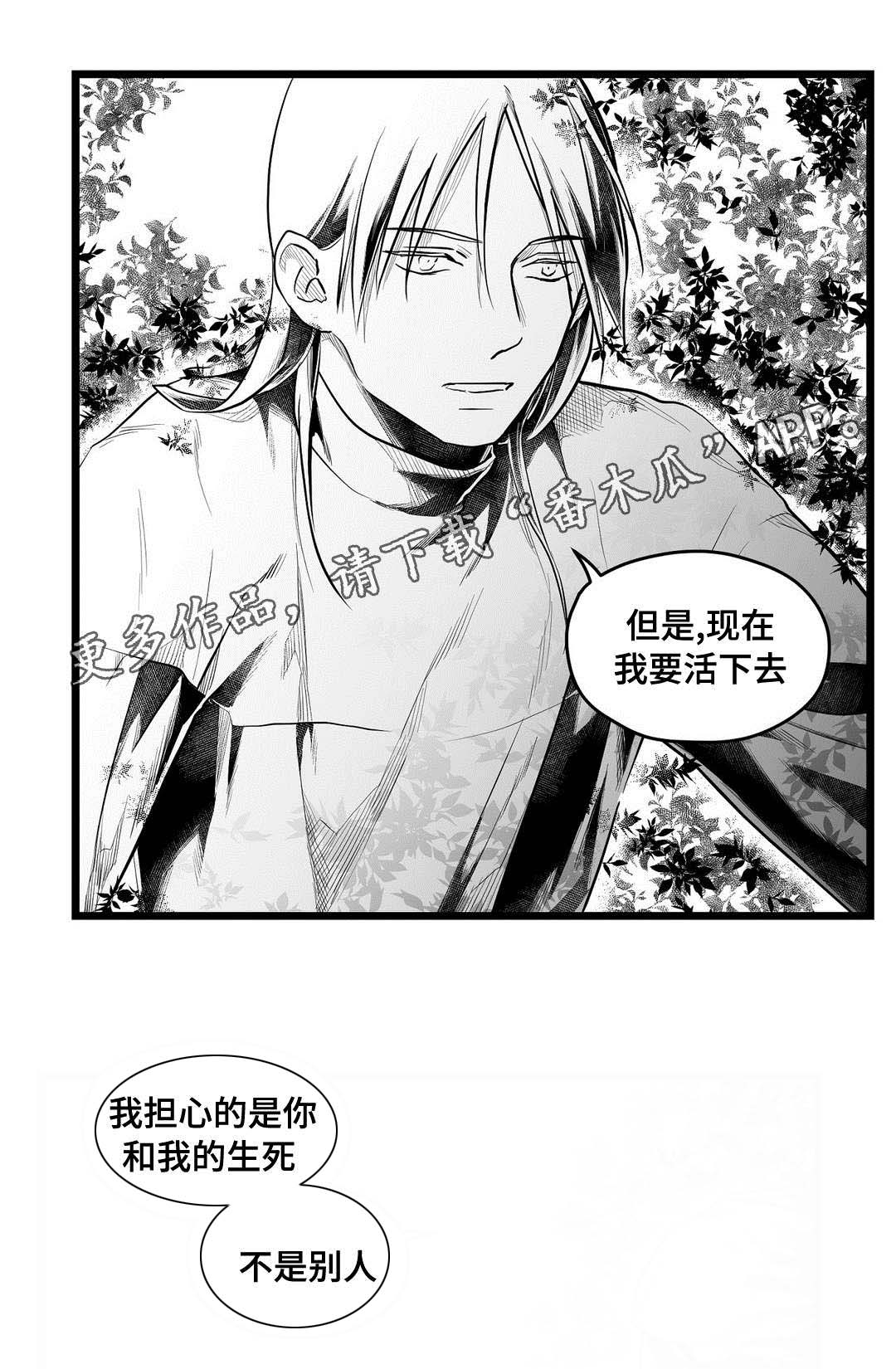 《巫师与王子》漫画最新章节第67章：关心免费下拉式在线观看章节第【1】张图片