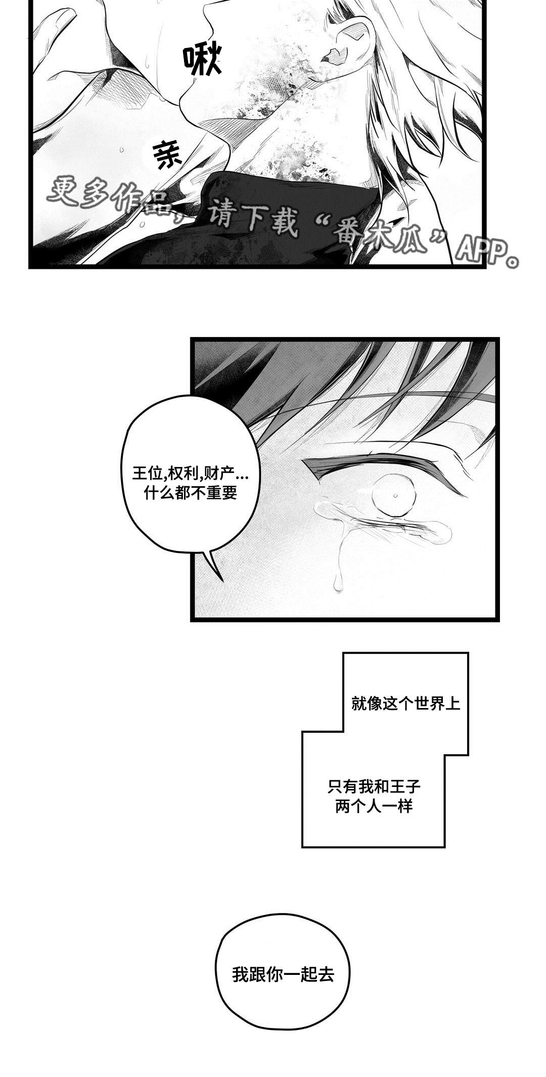 《巫师与王子》漫画最新章节第87章：得失免费下拉式在线观看章节第【7】张图片