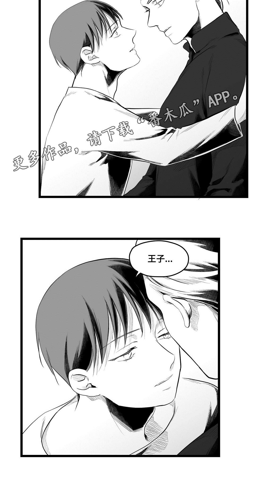 《巫师与王子》漫画最新章节第73章：故事免费下拉式在线观看章节第【3】张图片