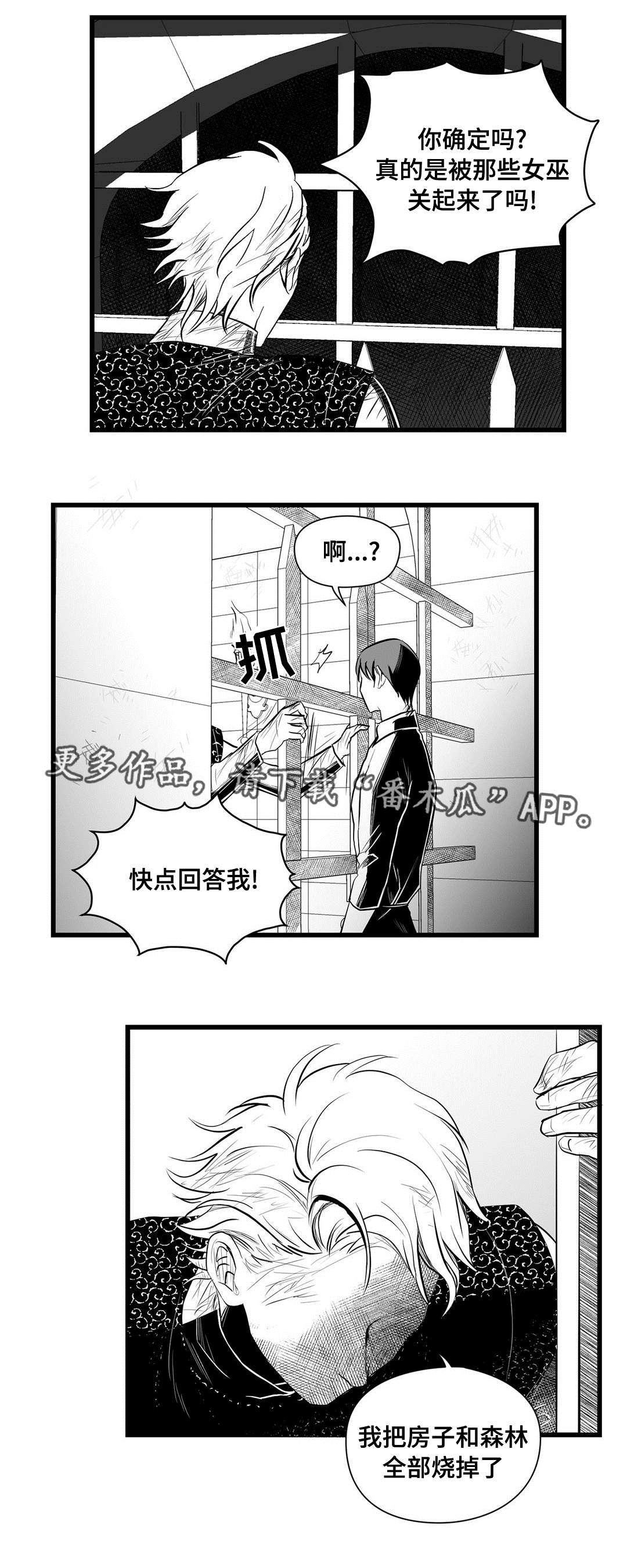 《巫师与王子》漫画最新章节第33章：下毒免费下拉式在线观看章节第【14】张图片