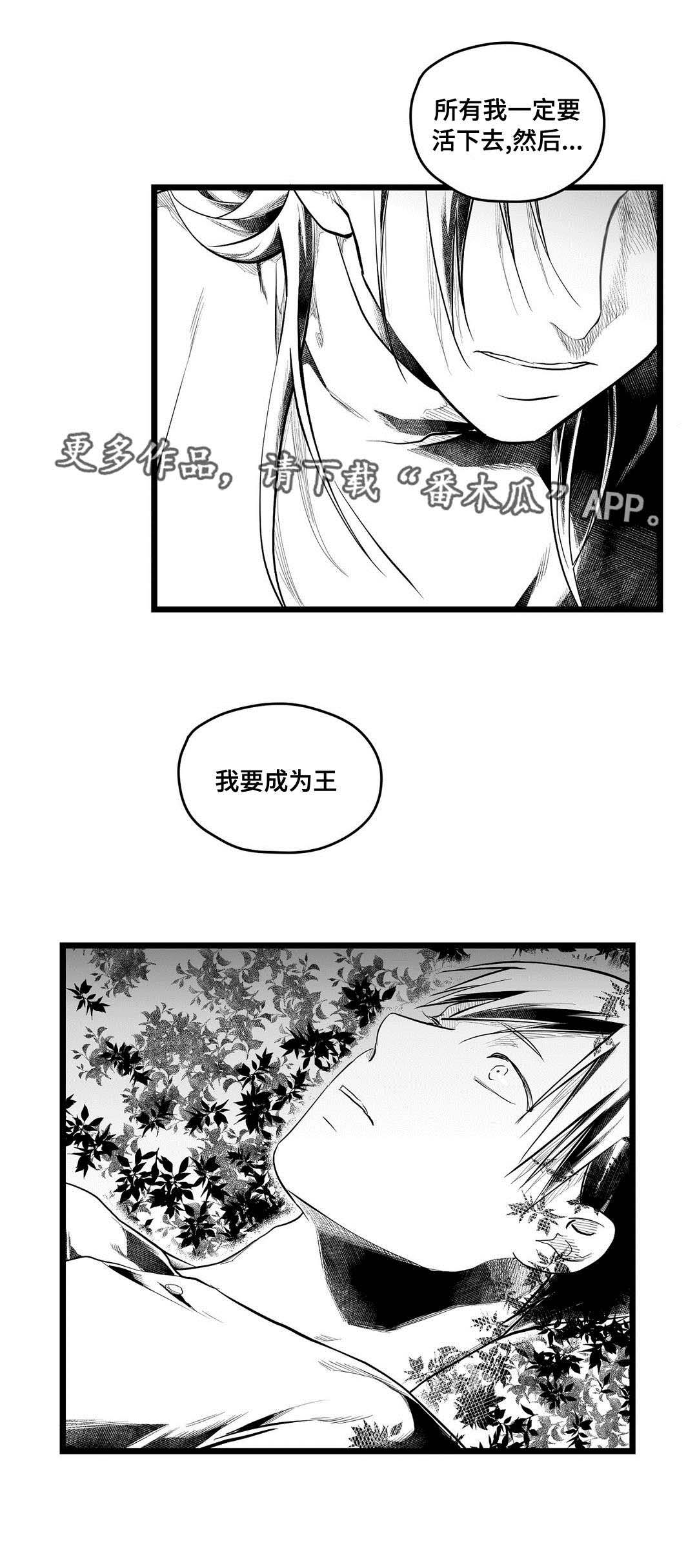 《巫师与王子》漫画最新章节第68章：命运免费下拉式在线观看章节第【11】张图片