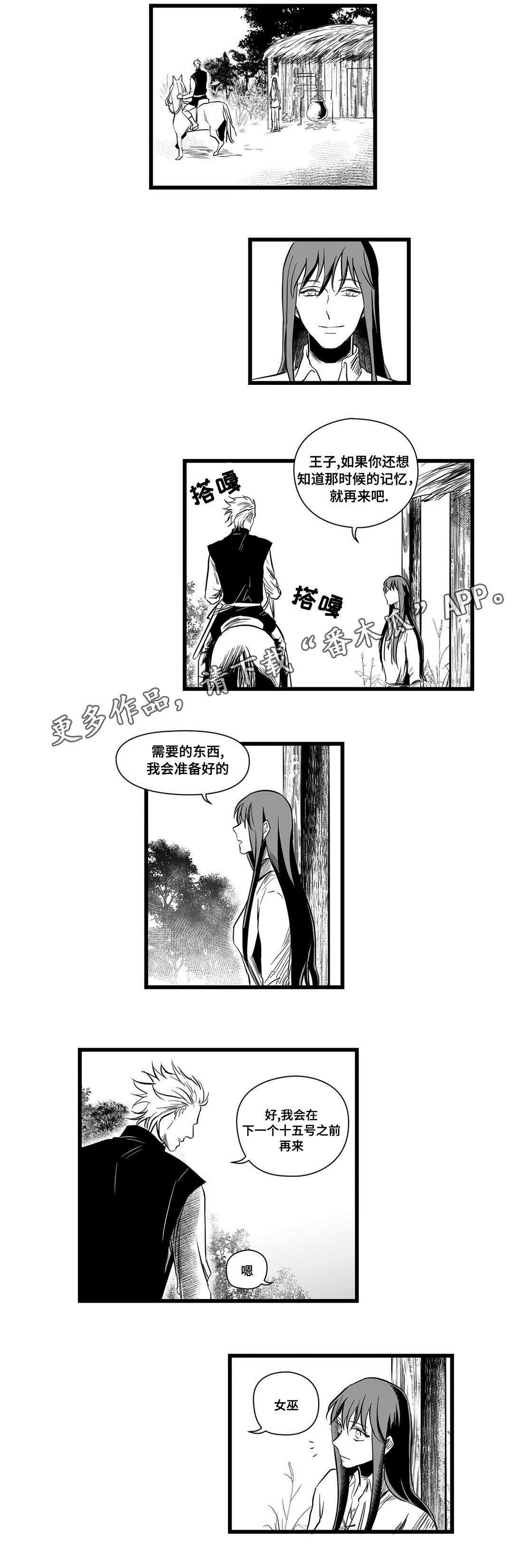 《巫师与王子》漫画最新章节第10章：秘密免费下拉式在线观看章节第【8】张图片