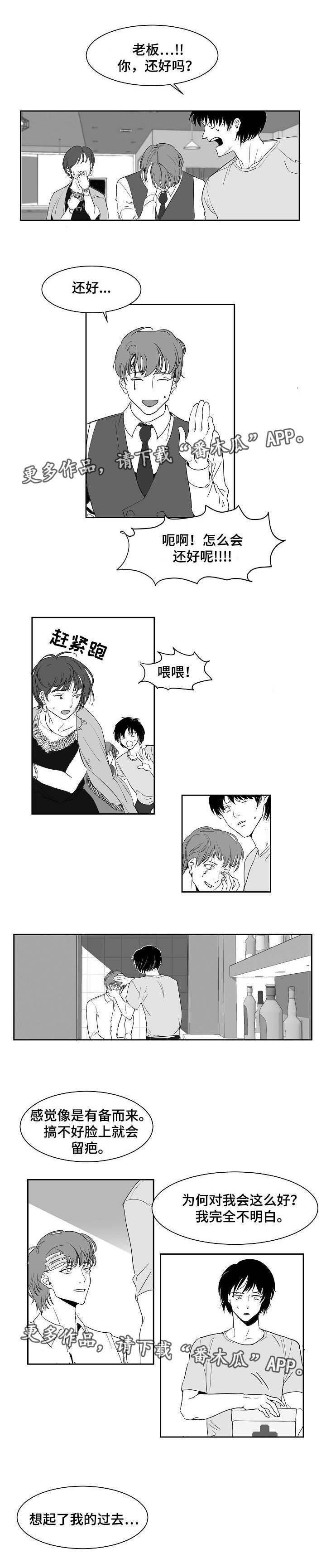 《同窗出演》漫画最新章节第17章：什么样子免费下拉式在线观看章节第【4】张图片