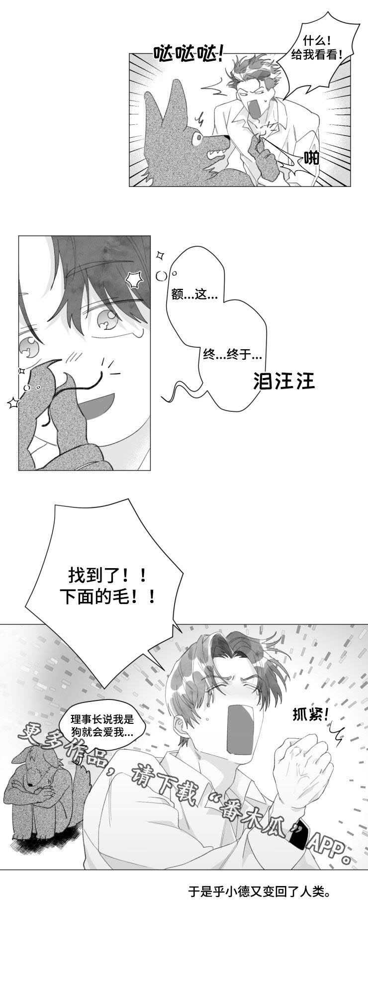 《危险计划》漫画最新章节第37章：变回人类免费下拉式在线观看章节第【3】张图片