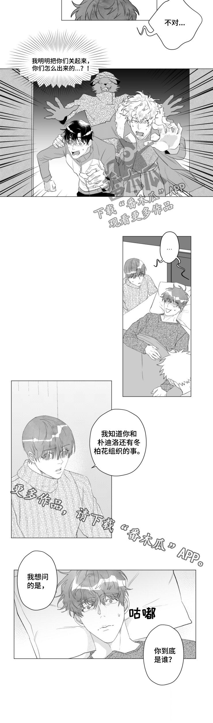 《危险计划》漫画最新章节第42章：你到底是谁免费下拉式在线观看章节第【1】张图片