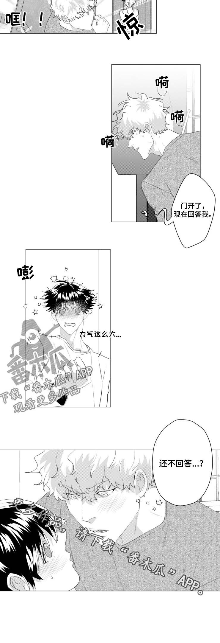 《危险计划》漫画最新章节第34章：回答我免费下拉式在线观看章节第【4】张图片