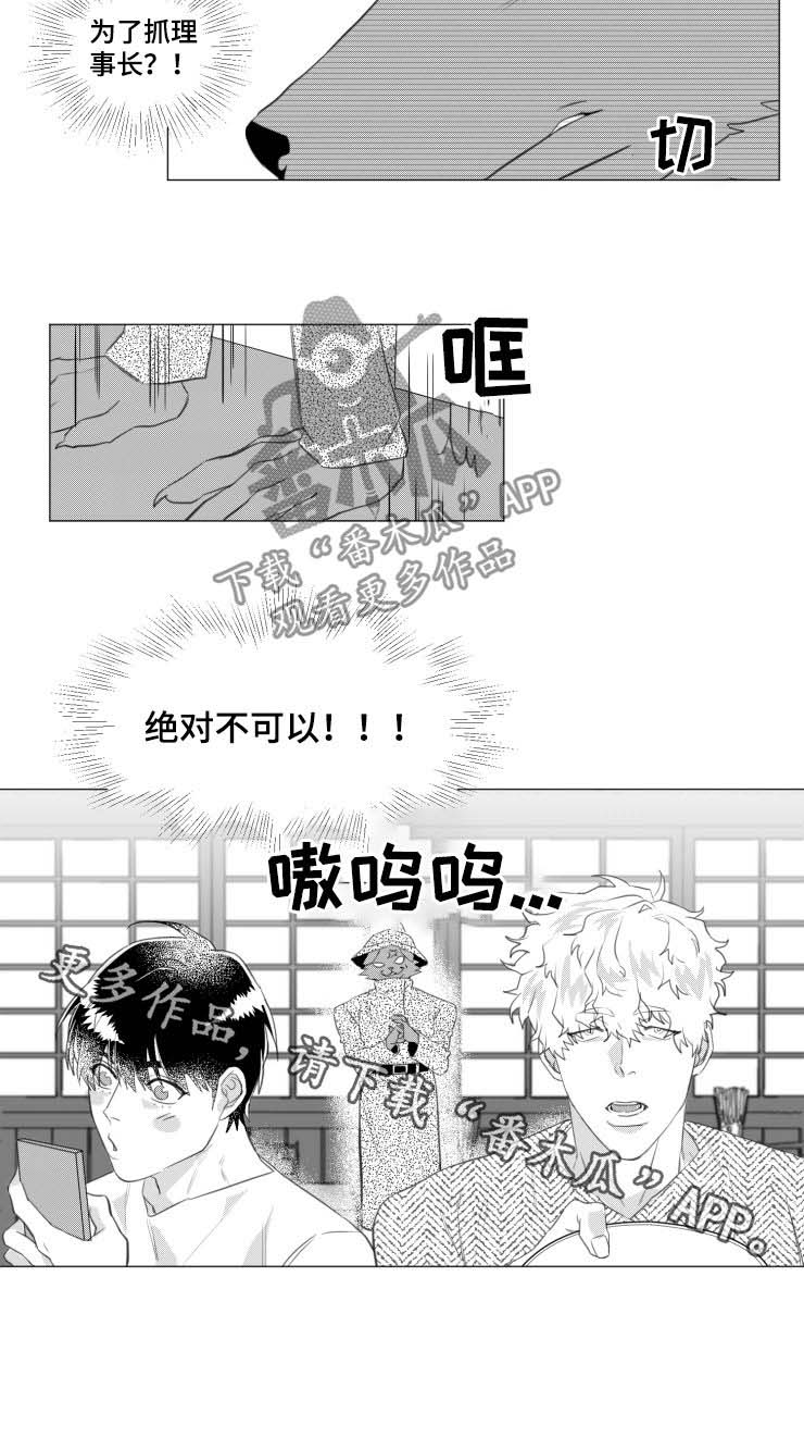 《危险计划》漫画最新章节第31章：绝对不可以免费下拉式在线观看章节第【1】张图片