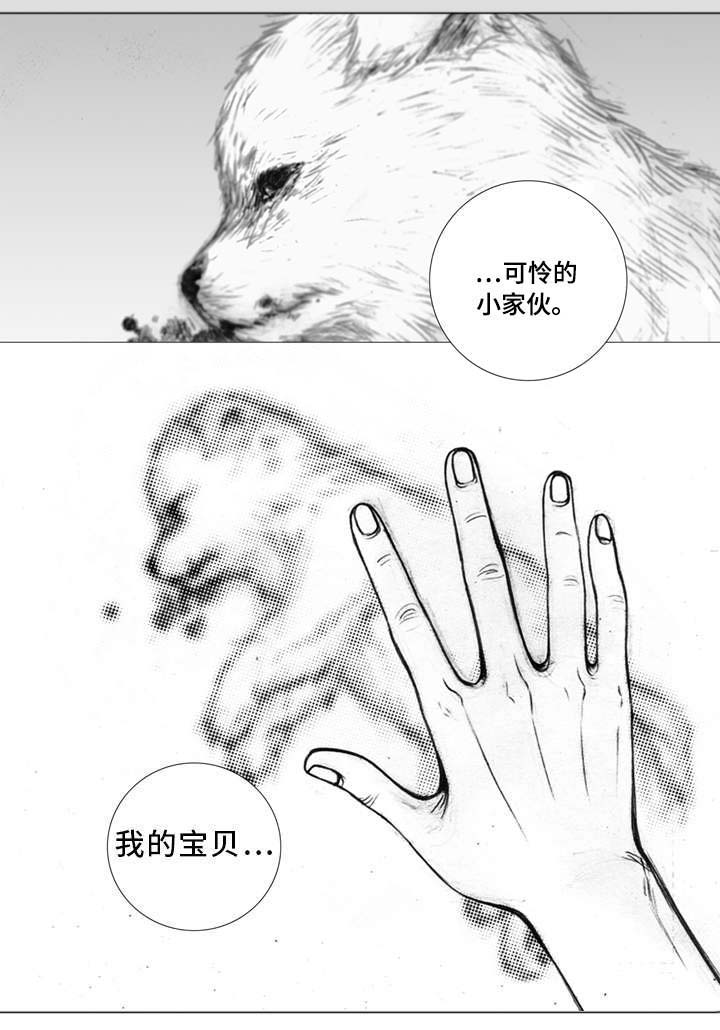 《雷同人生》漫画最新章节第3章：偶遇免费下拉式在线观看章节第【3】张图片