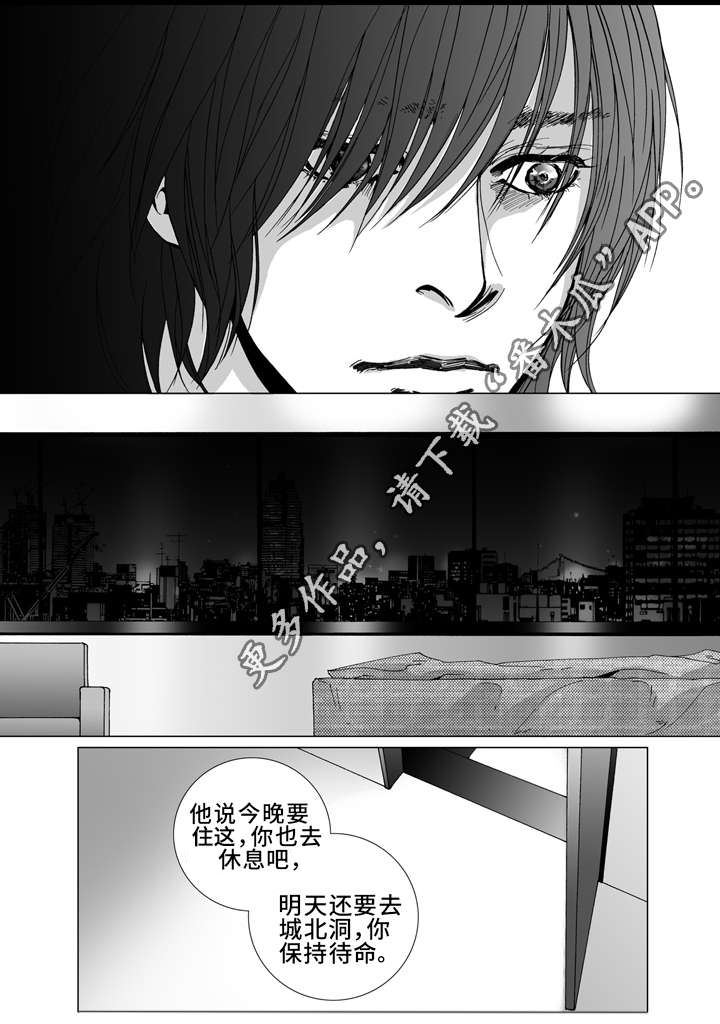 《雷同人生》漫画最新章节第15章：颓废免费下拉式在线观看章节第【13】张图片