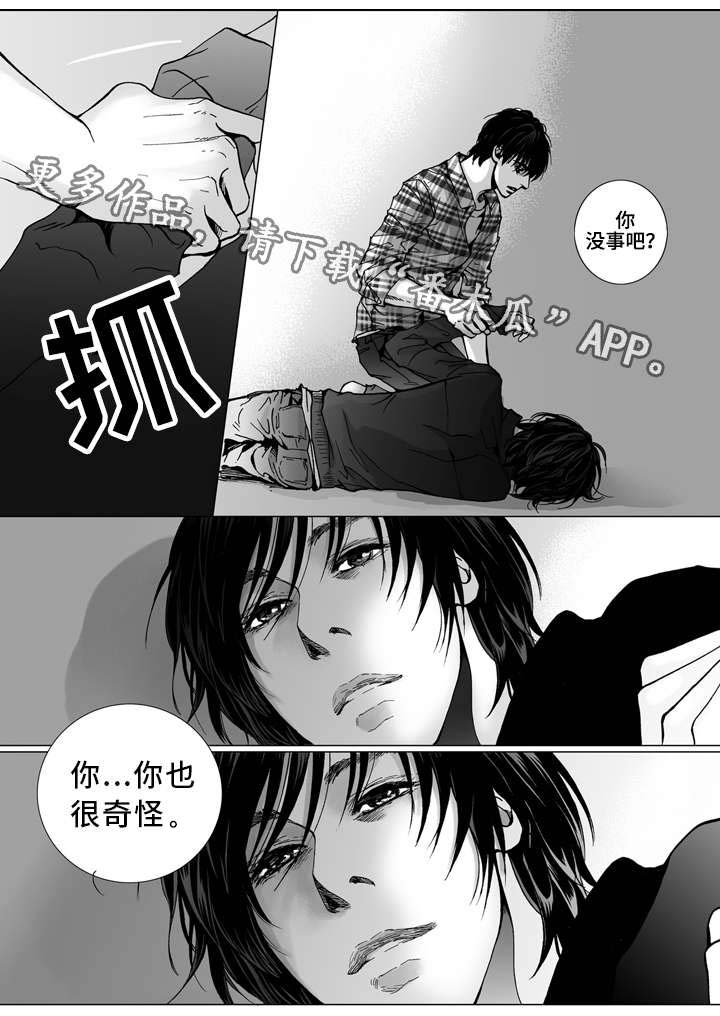 《雷同人生》漫画最新章节第10章：喝醉免费下拉式在线观看章节第【9】张图片