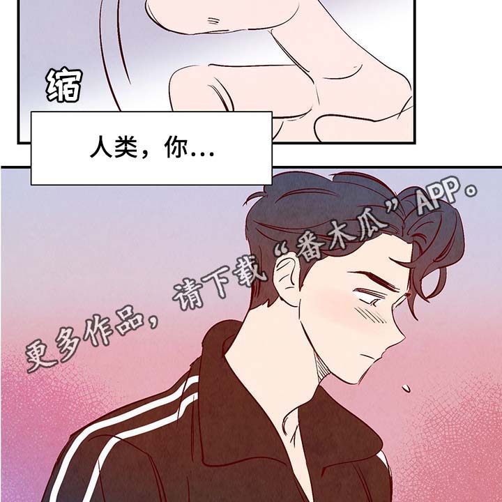 《寻鳞之旅》漫画最新章节第33章：老幺免费下拉式在线观看章节第【6】张图片