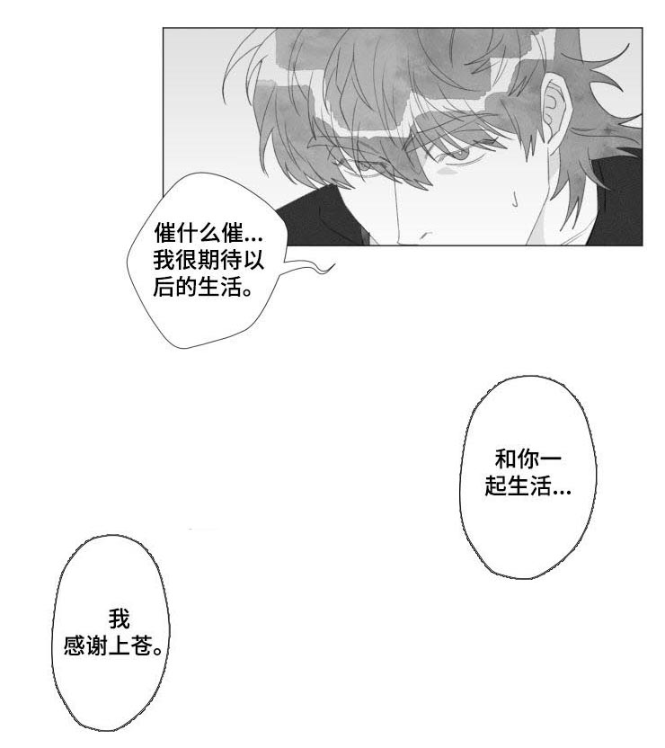 《危险计划》漫画最新章节第48章：感谢上苍（完结）免费下拉式在线观看章节第【1】张图片