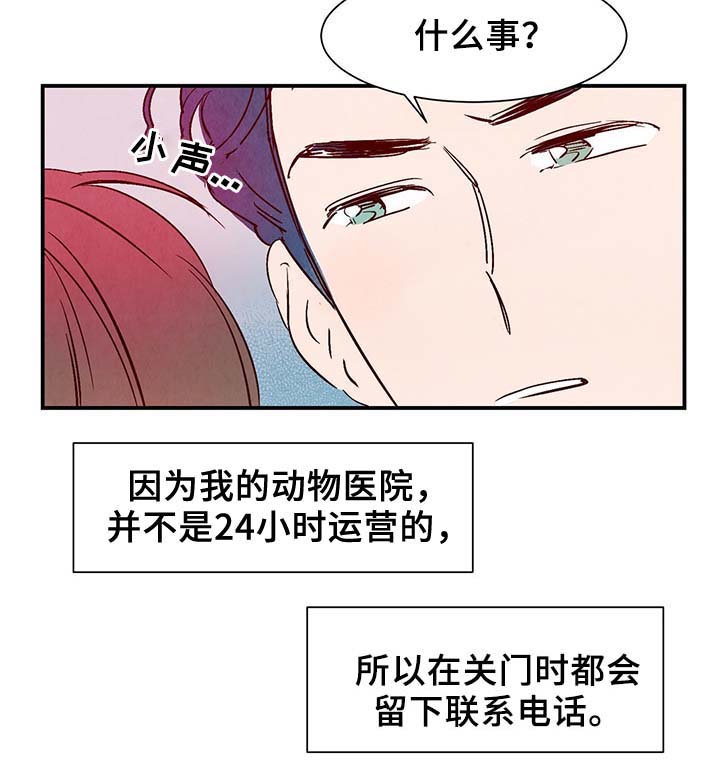 《寻鳞之旅》漫画最新章节第33章：老幺免费下拉式在线观看章节第【24】张图片