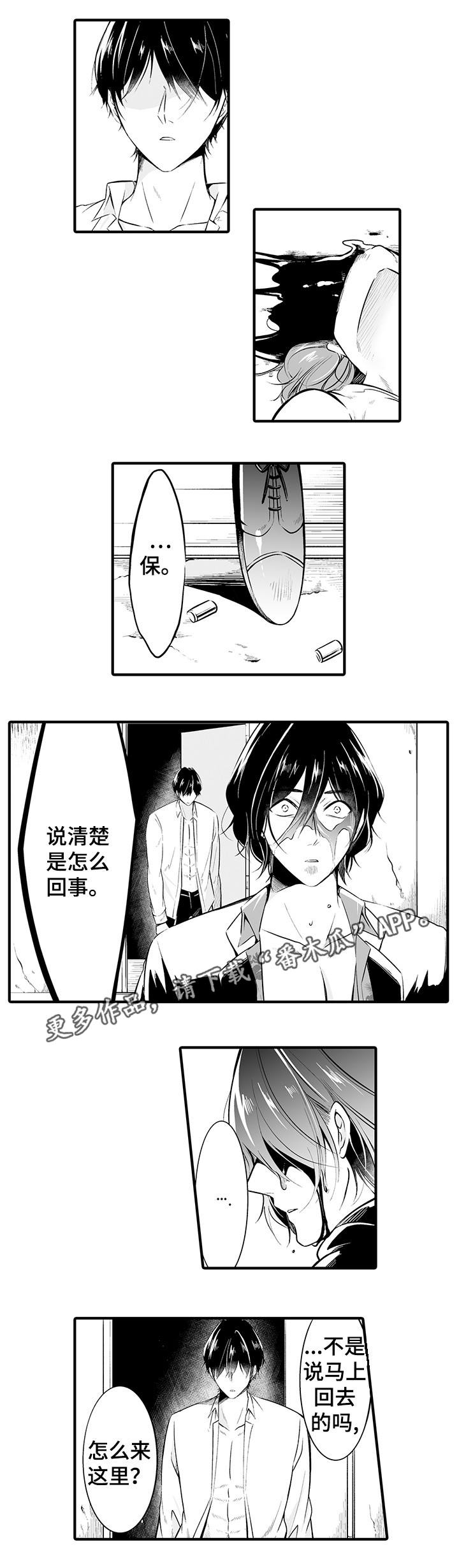 《我的独角戏》漫画最新章节第17章：是你干的免费下拉式在线观看章节第【6】张图片