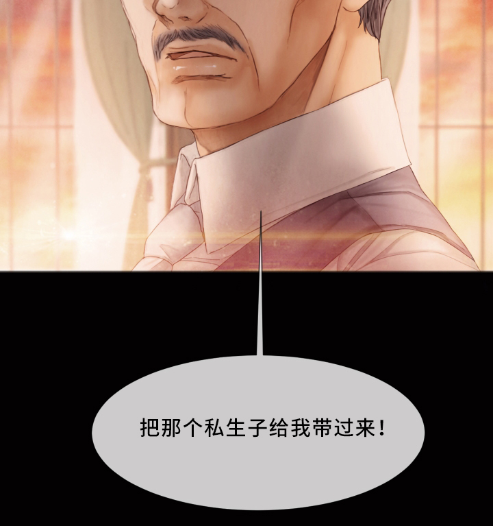 《援救策划》漫画最新章节第63章：私生子免费下拉式在线观看章节第【1】张图片